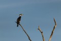 img_1902 2